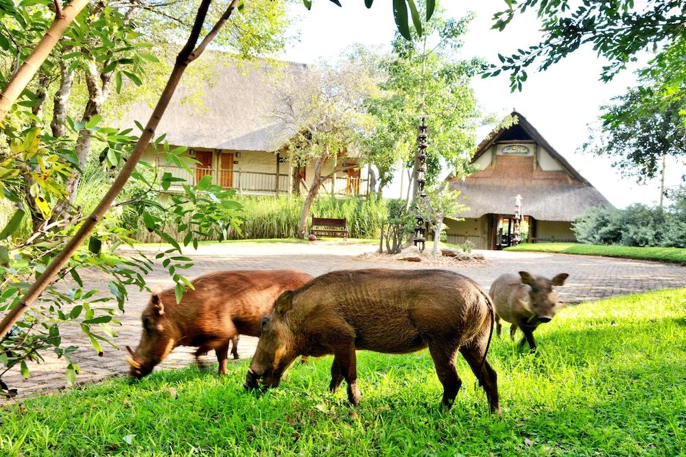 Victoria Falls Safari Club Kültér fotó